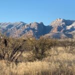 Property photo for land for sale in Cochise County Arizona