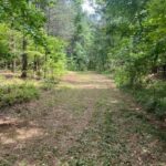 Property photo for land for sale in Hinds County Mississippi