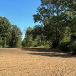 Property photo for land for sale in Jefferson County Mississippi