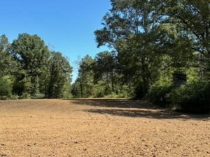 Property photo for land for sale in Jefferson County Mississippi