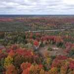 Property photo for land for sale in Kalkaska County Michigan