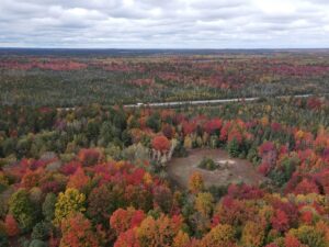 Property photo for land for sale in Kalkaska County Michigan