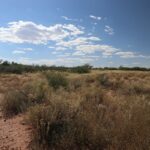 Property photo for land for sale in Cochise County Arizona