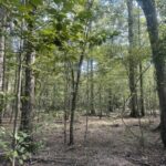 Property photo for land for sale in Bradley County Arkansas