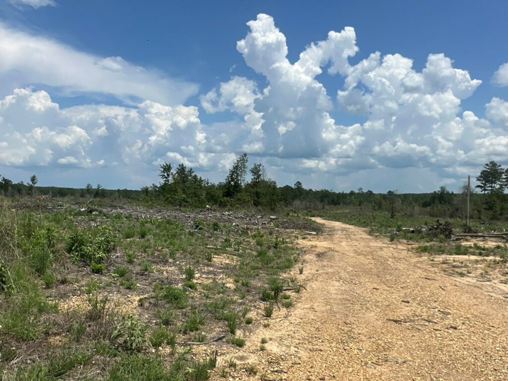 Property photo for land for sale in Columbia County Arkansas