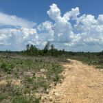 Property photo for land for sale in Columbia County Arkansas