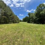 Property photo for land for sale in Sequatchie County Tennessee