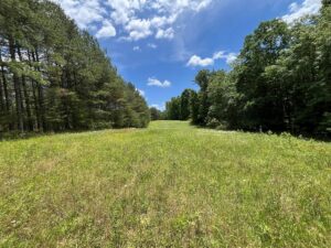 Property photo for land for sale in Sequatchie County Tennessee