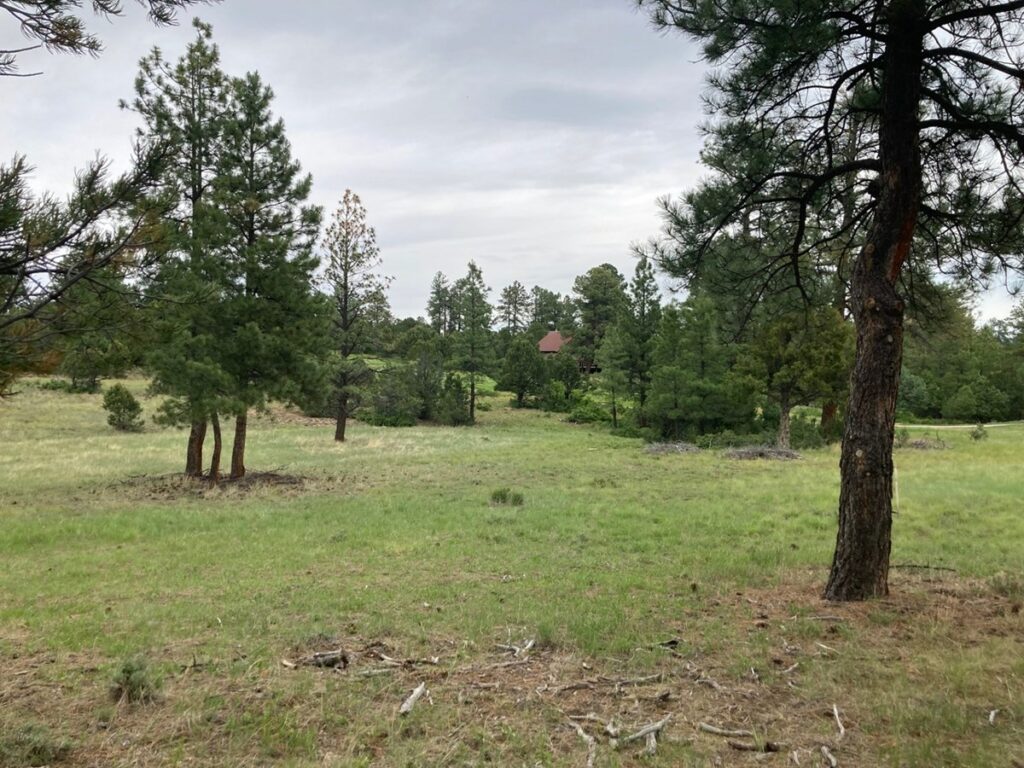 Property photo for land for sale in Ouray County Colorado