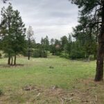 Property photo for land for sale in Ouray County Colorado