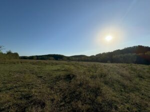 Property photo for land for sale in Pulaski County Missouri