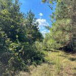 Property photo for land for sale in Bradley County Arkansas