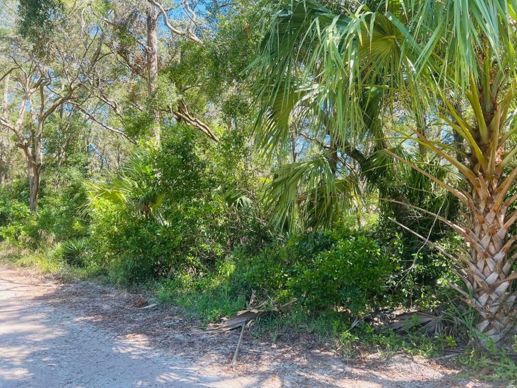 Property photo for land for sale in Levy County Florida