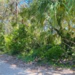 Property photo for land for sale in Levy County Florida