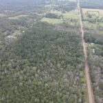 Property photo for land for sale in Scott County Mississippi