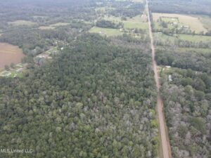 Property photo for land for sale in Scott County Mississippi