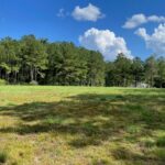 Property photo for land for sale in Marion County Mississippi