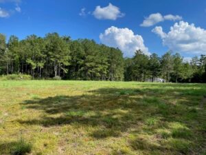 Property photo for land for sale in Marion County Mississippi