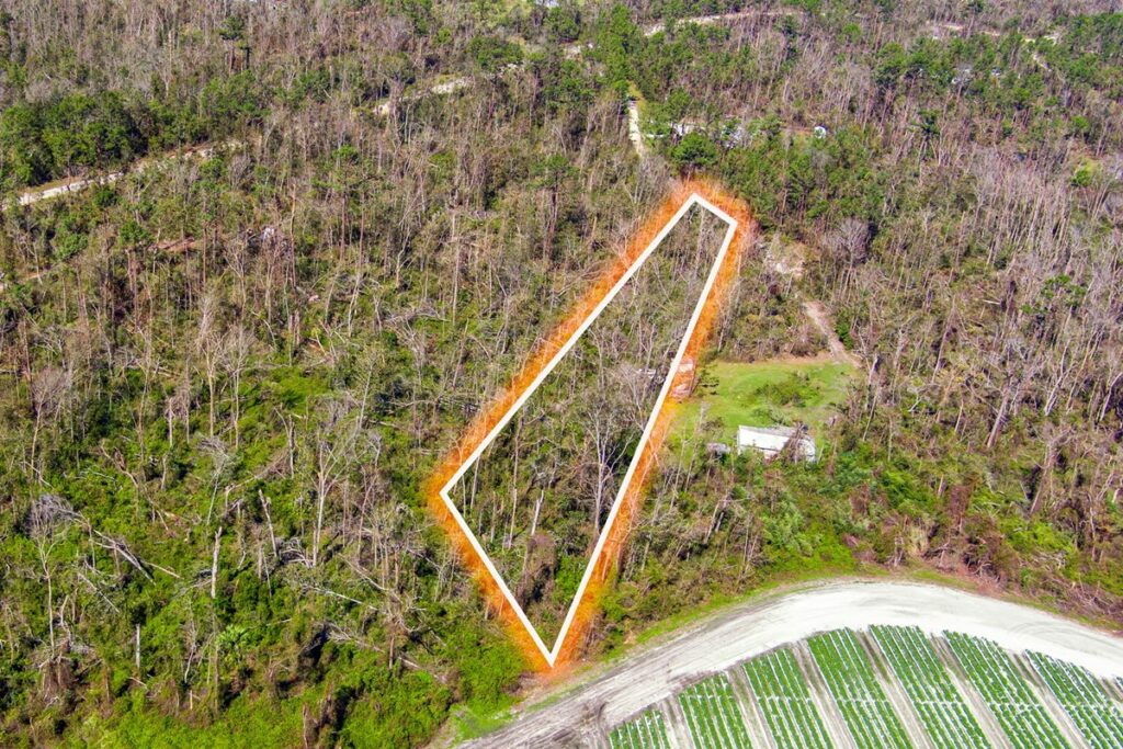 Property photo for land for sale in Hamilton County Florida