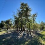 Property photo for land for sale in Jackson County Florida