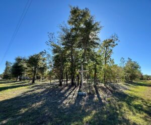 Property photo for land for sale in Jackson County Florida