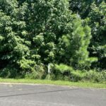 Property photo for land for sale in Barren County Kentucky