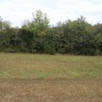 Property photo for land for sale in Izard County Arkansas