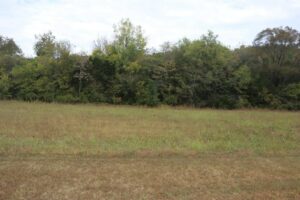 Property photo for land for sale in Izard County Arkansas