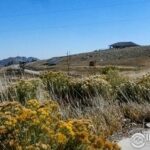 Property photo for land for sale in Larimer County Colorado