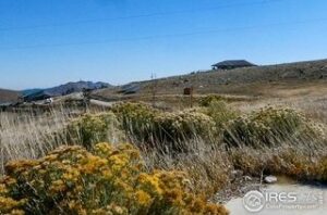 Property photo for land for sale in Larimer County Colorado