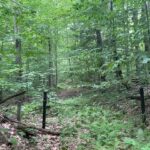 Property photo for land for sale in Herkimer County New York