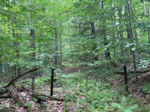 Property photo for land for sale in Herkimer County New York