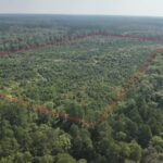 Property photo for land for sale in Union County Arkansas