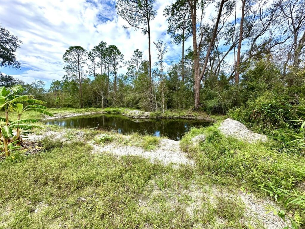 Property photo for land for sale in Lafayette County Florida