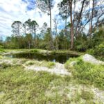 Property photo for land for sale in Lafayette County Florida