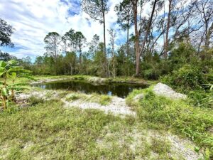 Property photo for land for sale in Lafayette County Florida