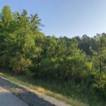 Property photo for land for sale in Bradley County Arkansas