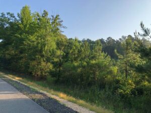 Property photo for land for sale in Bradley County Arkansas