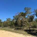 Property photo for land for sale in Jackson County Florida