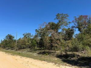 Property photo for land for sale in Jackson County Florida