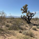 Property photo for land for sale in Mohave County Arizona