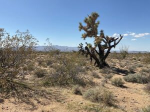 Property photo for land for sale in Mohave County Arizona