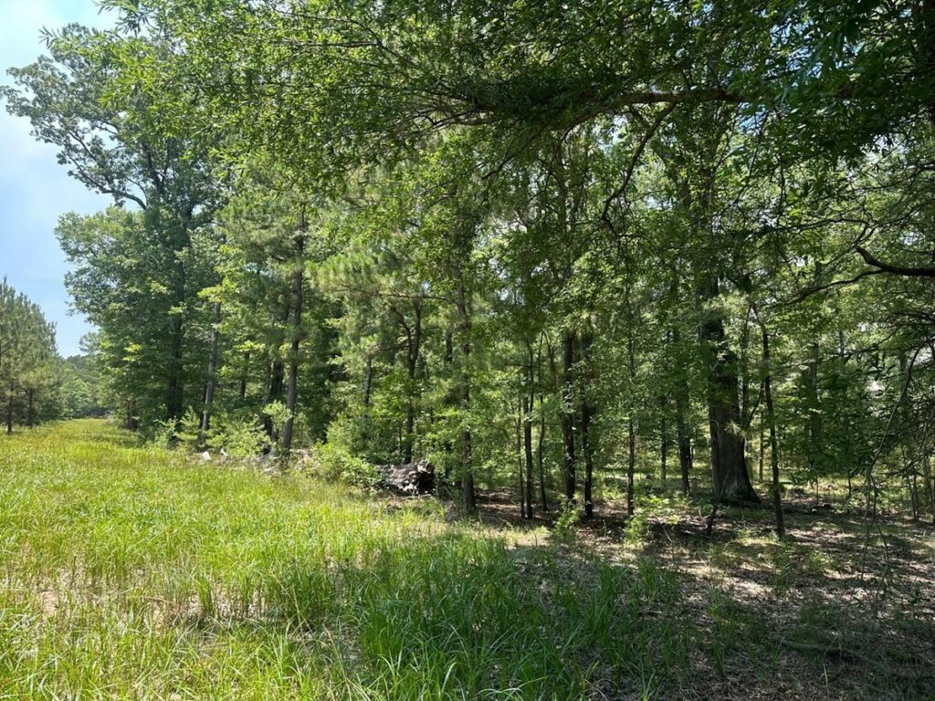 Property photo for land for sale in Lafayette County Arkansas