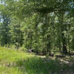 Property photo for land for sale in Lafayette County Arkansas