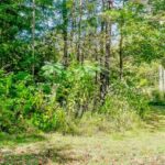 Property photo for land for sale in Pickett County Tennessee