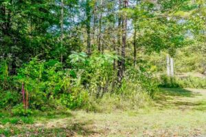 Property photo for land for sale in Pickett County Tennessee