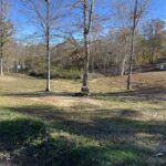 Property photo for land for sale in Henderson County Tennessee