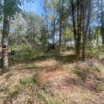 Property photo for land for sale in Titus County Texas