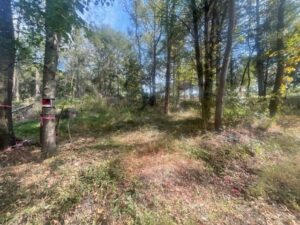 Property photo for land for sale in Titus County Texas