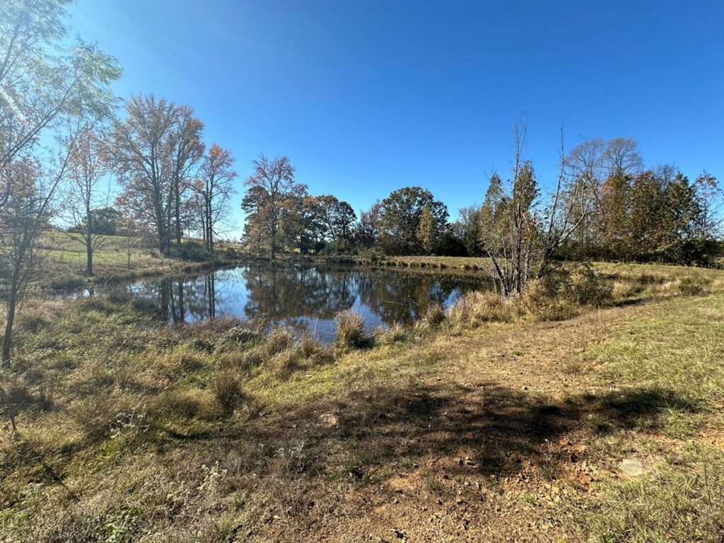 Property photo for land for sale in White County Arkansas